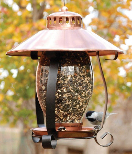 Vintage outlets Bird Feeder Lantern - Bird House Lantern - Outdoor Lantern