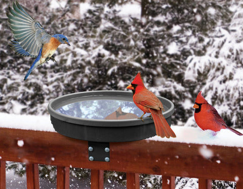 Songbird Heated Birdbath Spa